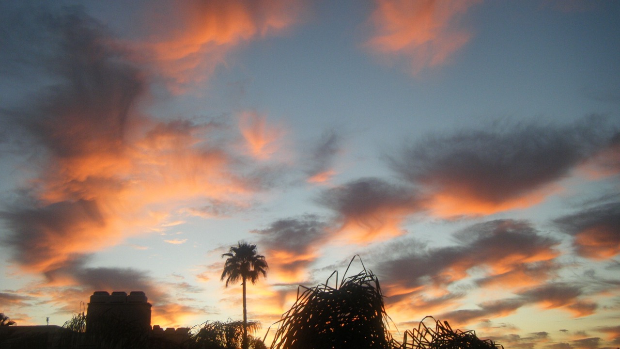 Photo of Others in Scottsdale Ranch