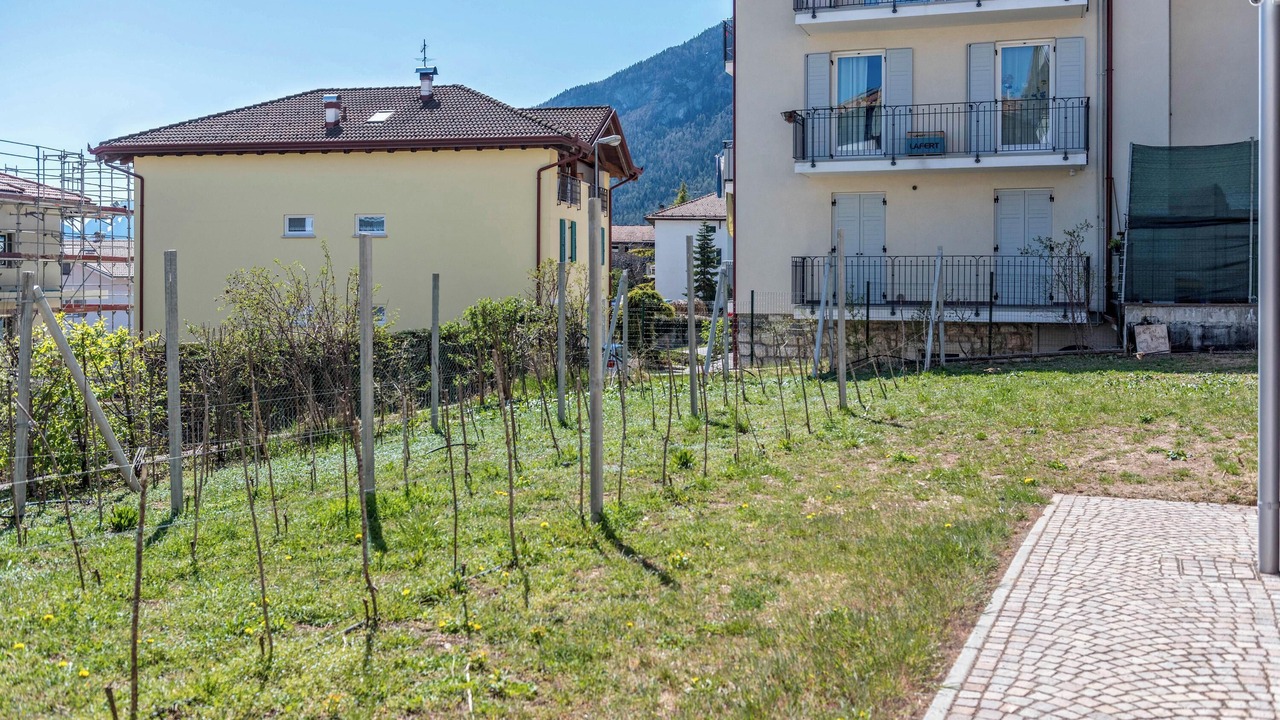 Photo of Outdoor in Ville d'Anaunia