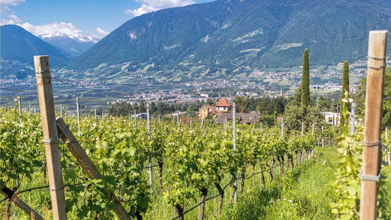 Photo of Others in Merano