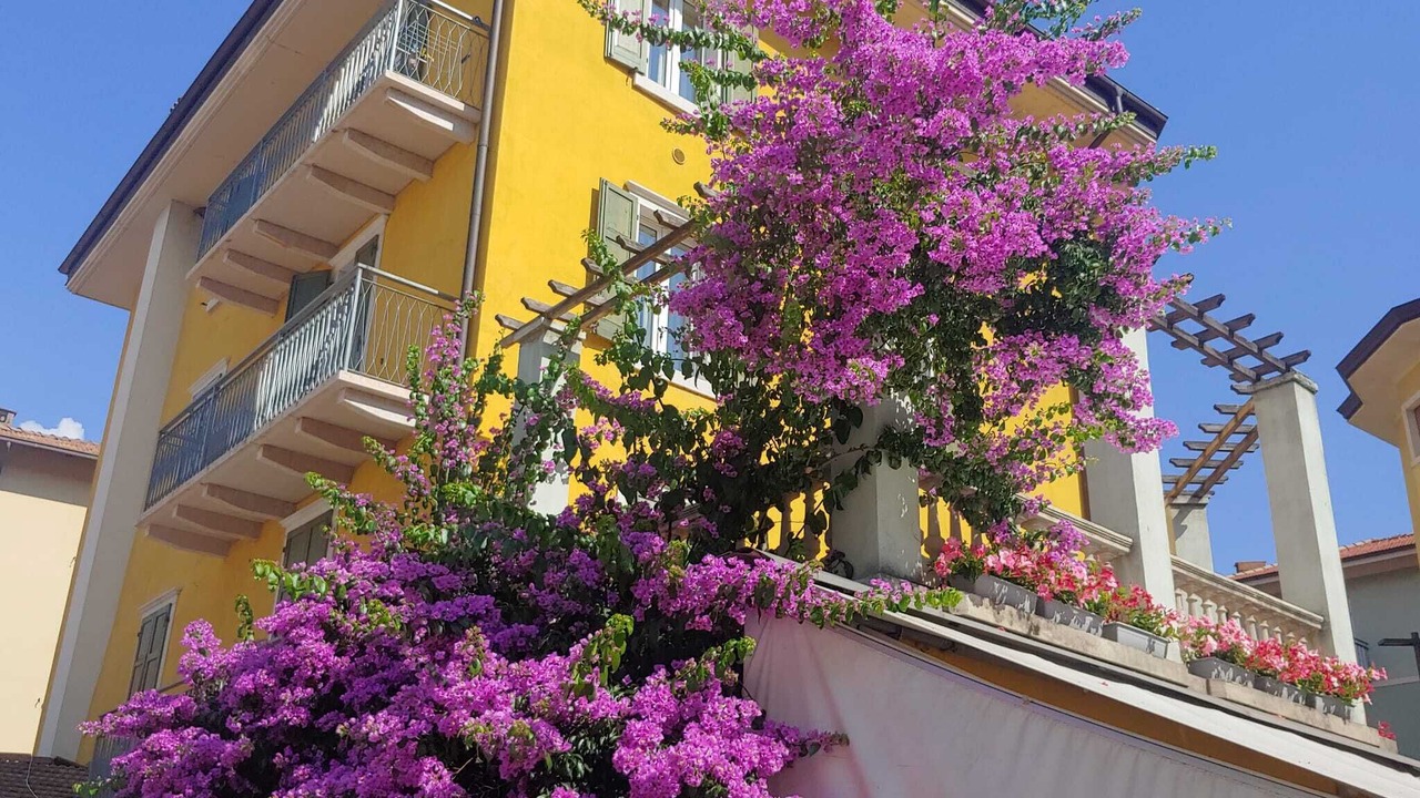 Photo of Outdoor in Nago-Torbole