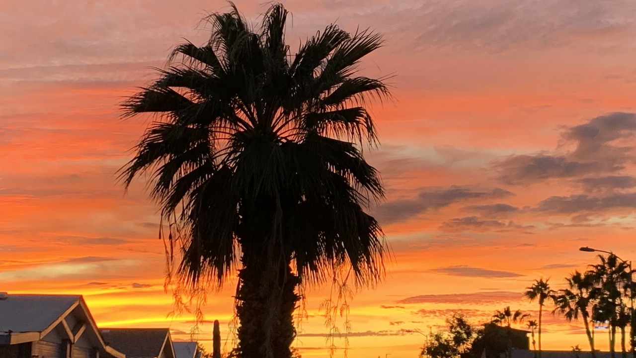 Photo of Outdoor in Yuma East