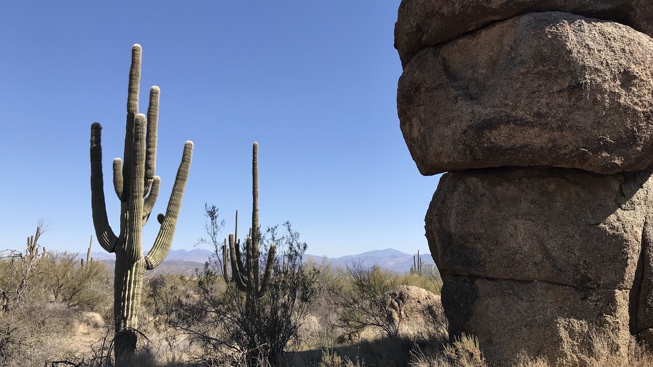 Photo of Outdoor in Central Scottsdale