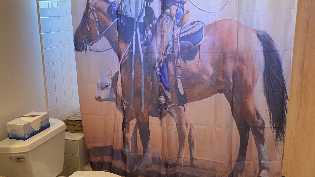 Photo of Bathroom in North Scottsdale