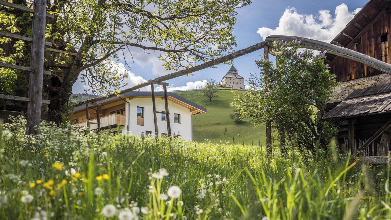 Photo of Outdoor in San Martino in Badia