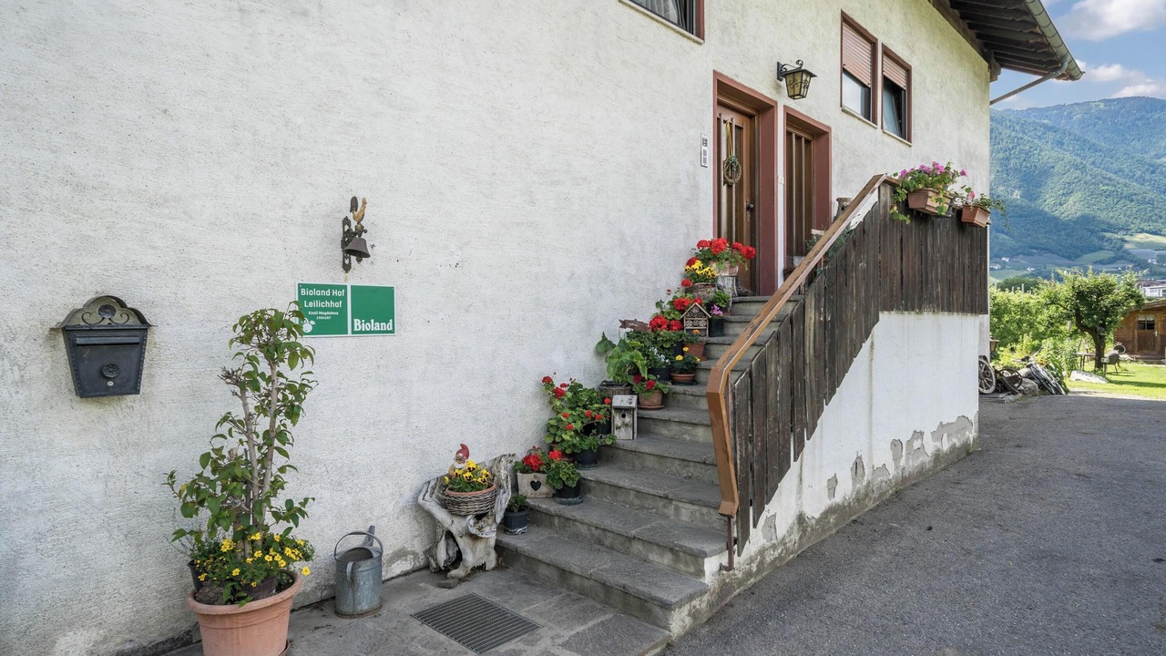 Photo of Outdoor in Lana