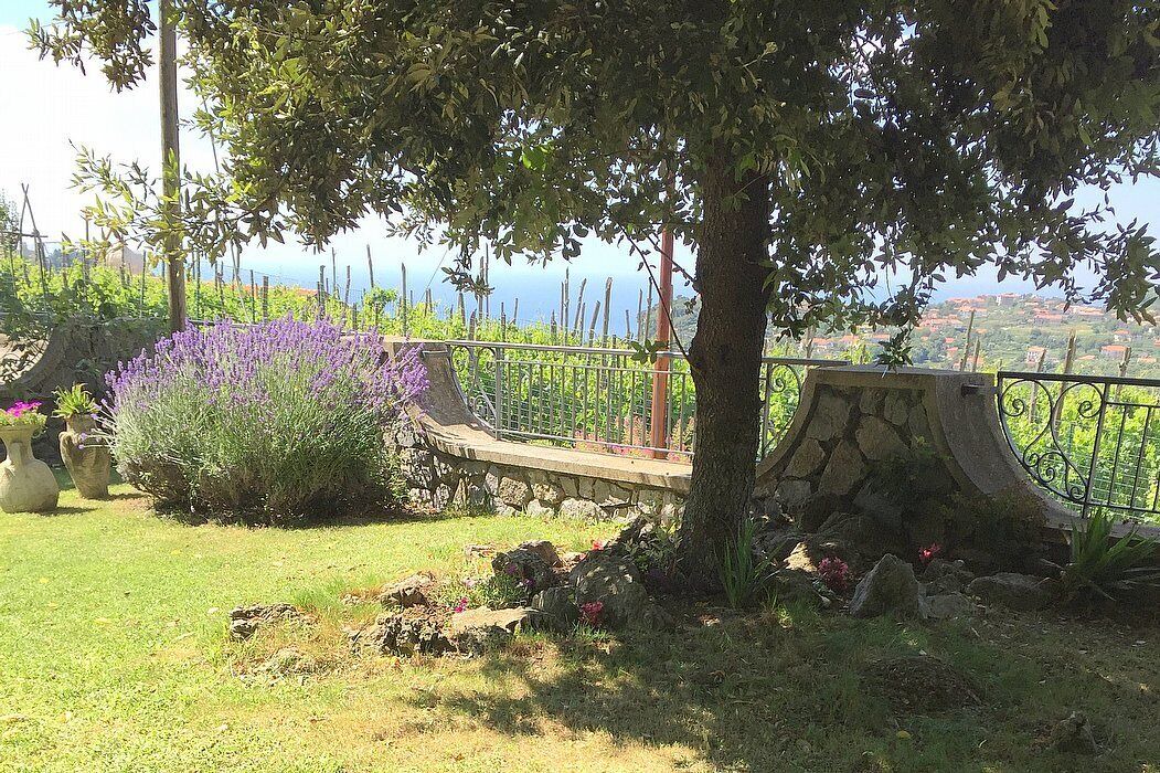 Photo of Outdoor in Agerola