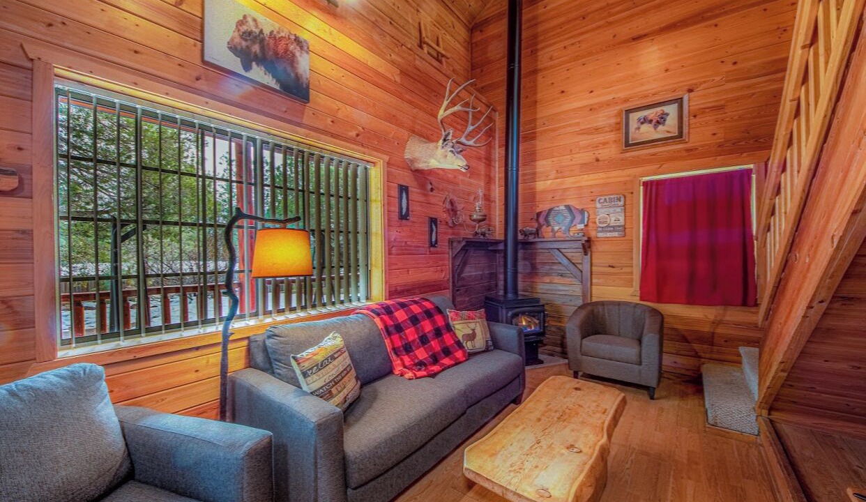 Photo of Livingroom in Christopher Creek