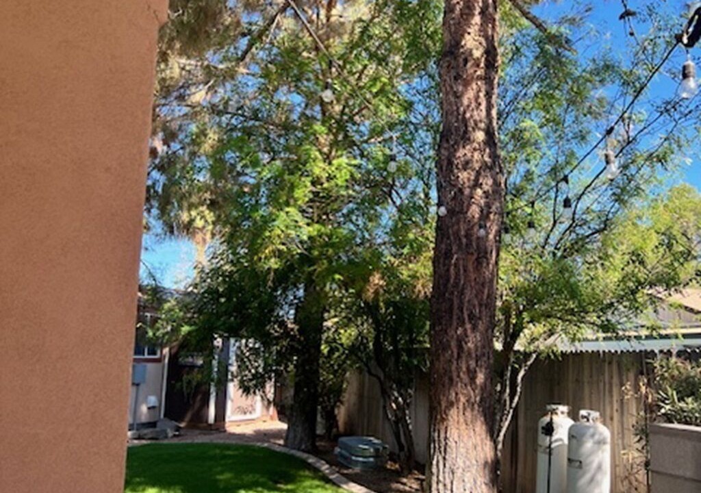 Photo of Outdoor in Gilbert