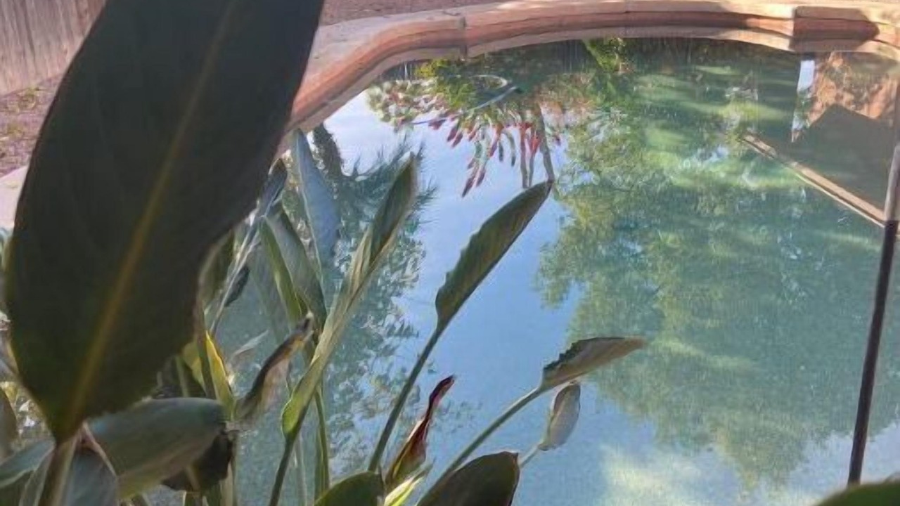 Photo of Outdoor in Gilbert