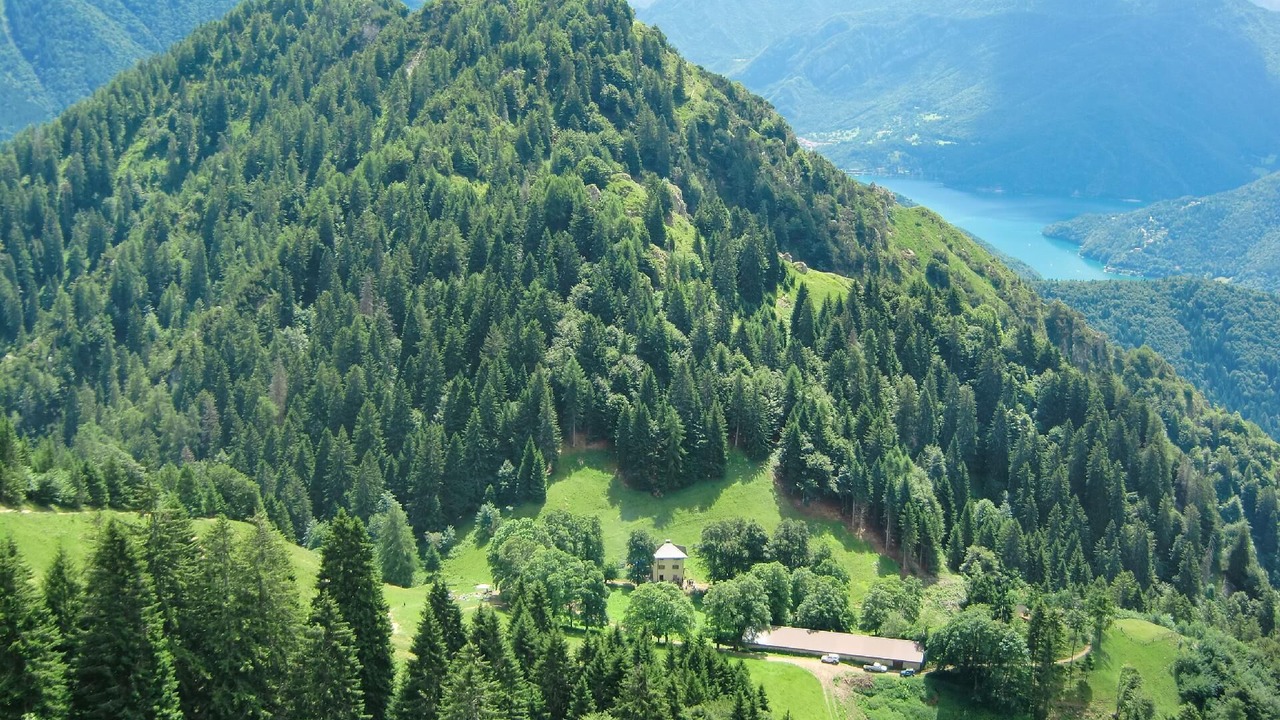 Photo of Others in Mezzolago