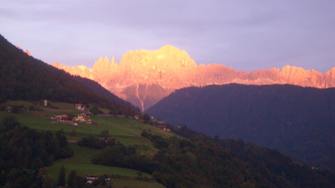 Photo of Others in Brie