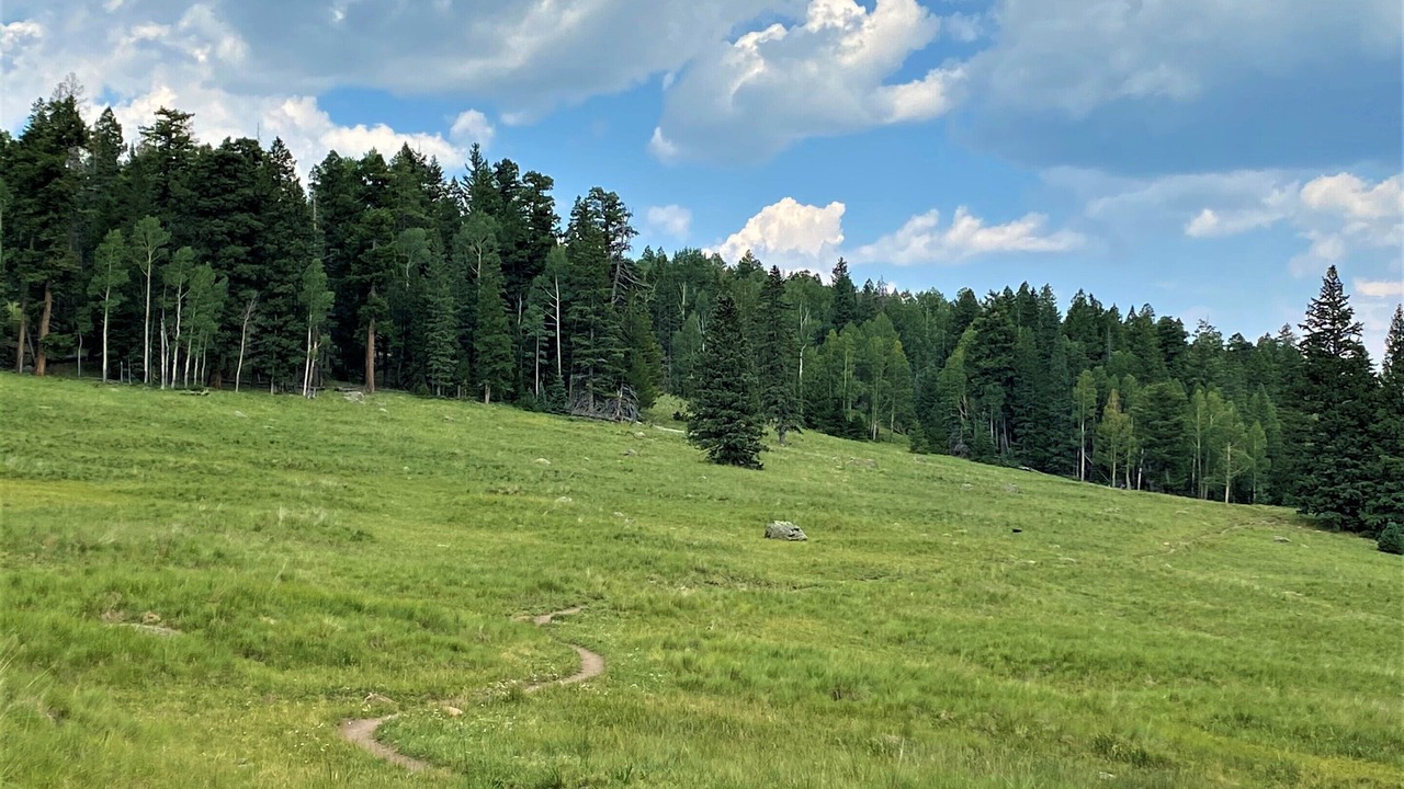 Photo of Outdoor in Greer