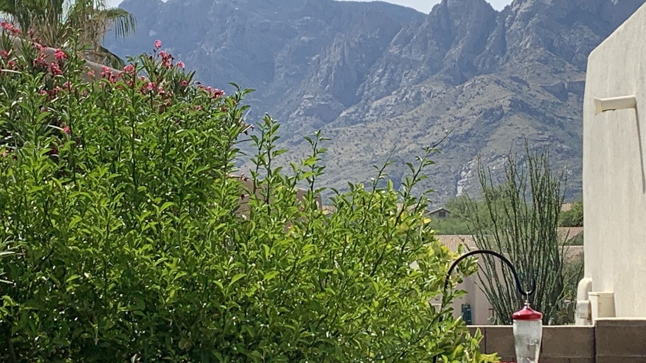 Photo of Others in Catalina Shadows Estates
