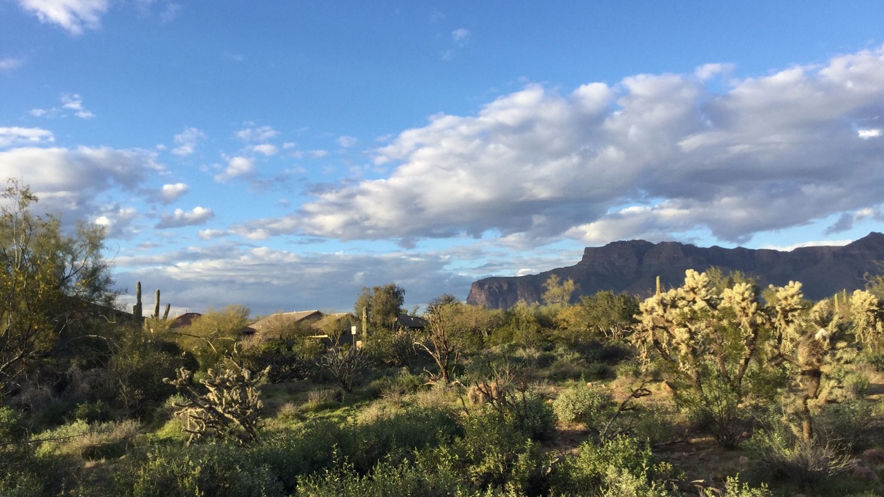 Photo of Outdoor in Gold Canyon