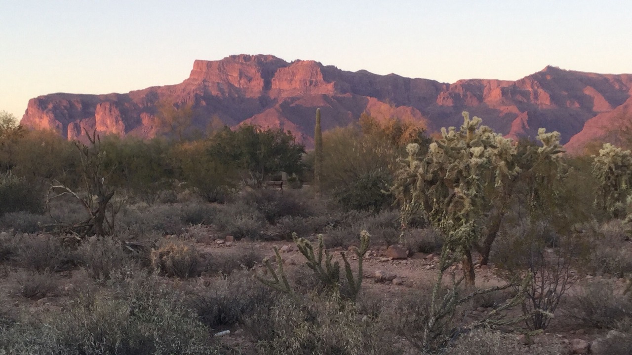 Photo of Others in Gold Canyon