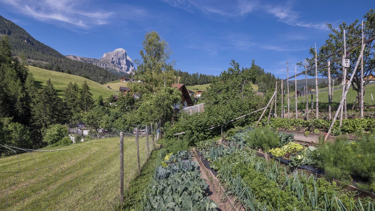 Photo of Outdoor in San Martino in Badia