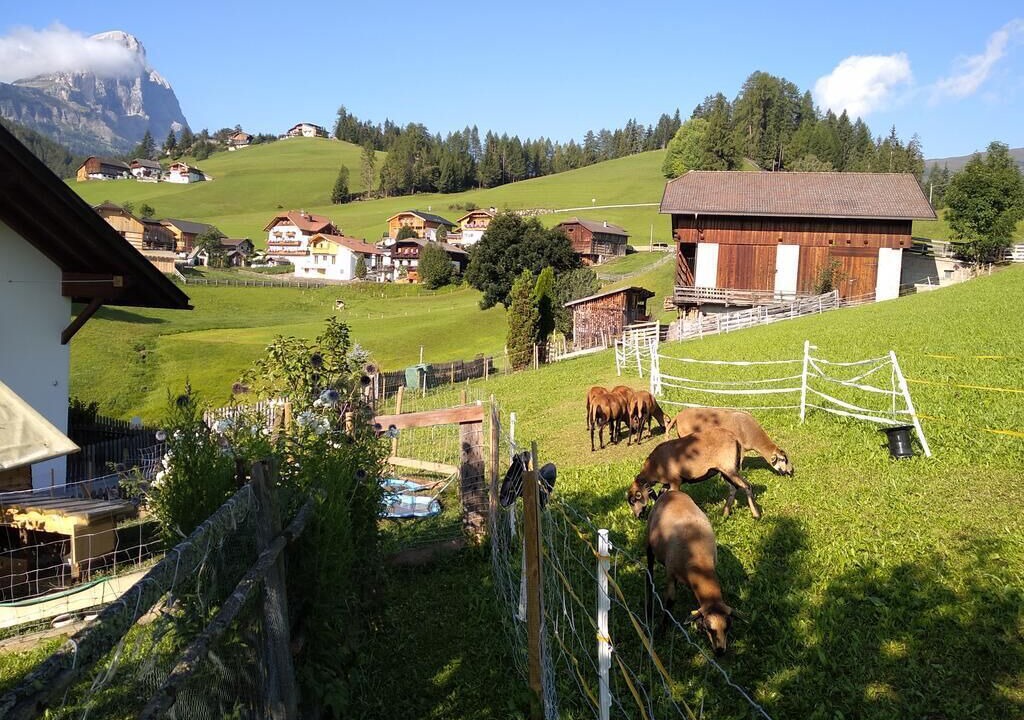Photo of Others in San Martino in Badia