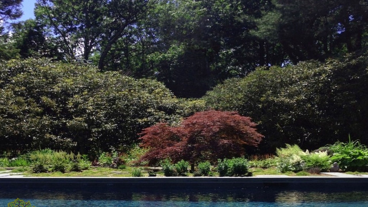Photo of Outdoor in Mbazwana