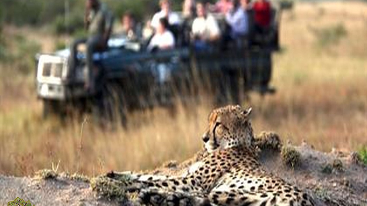 Photo of Outdoor in Mbazwana