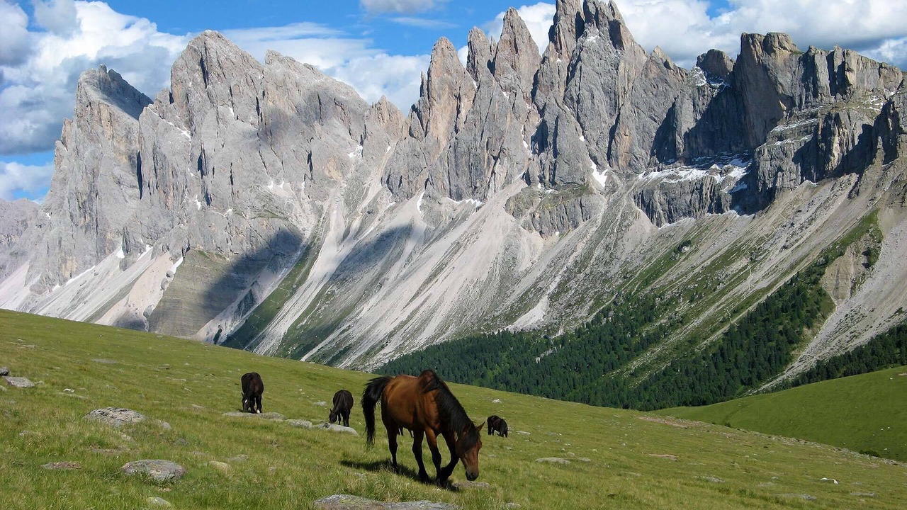 Photo of Others in Selva di Val Gardena