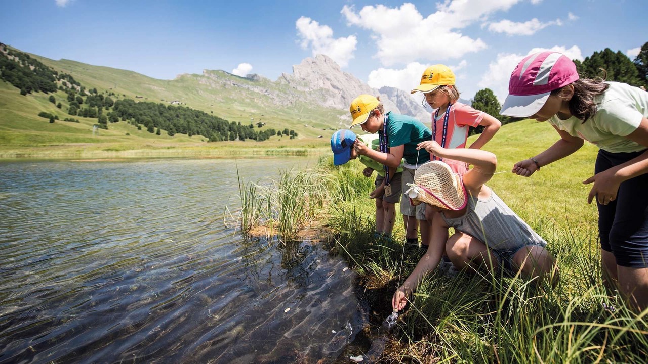 Photo of Others in Selva di Val Gardena