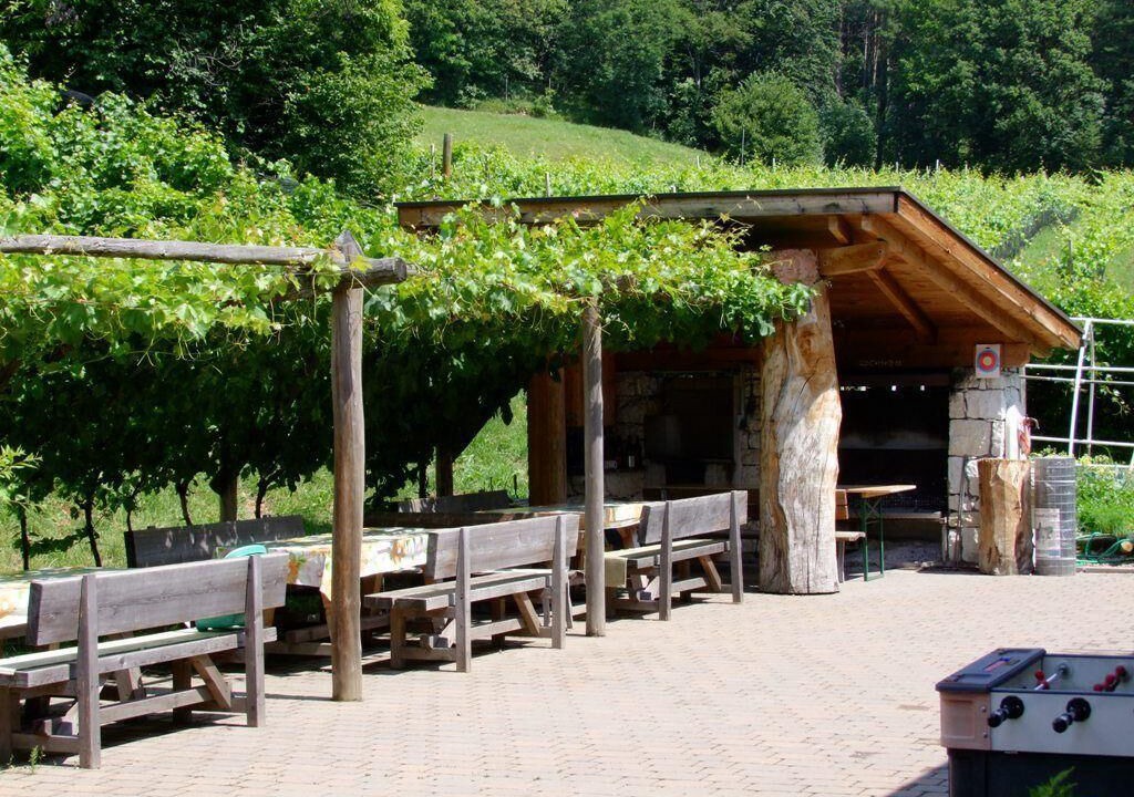 Photo of Outdoor in Kurtatsch an der Weinstraße