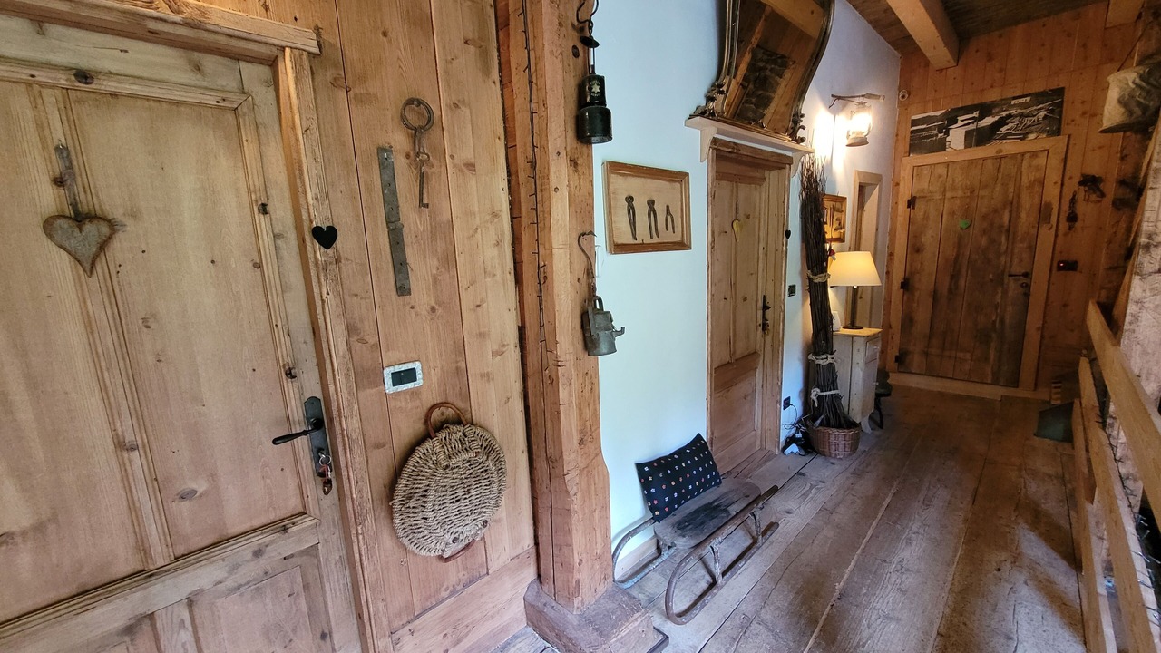 Photo of Others in Danta di Cadore