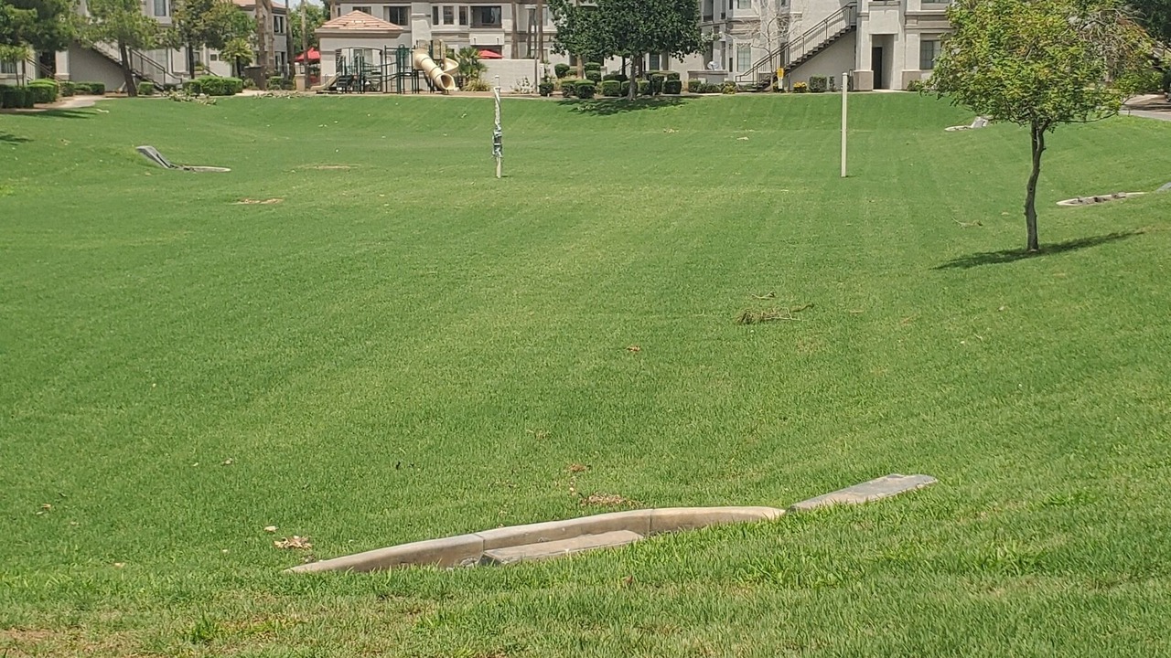 Photo of Outdoor in Gilbert