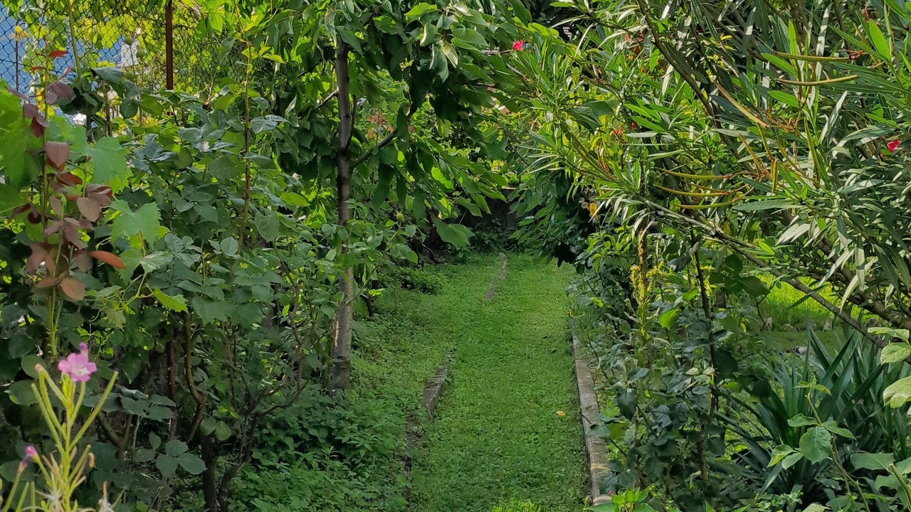 Photo of Outdoor in Mattarello