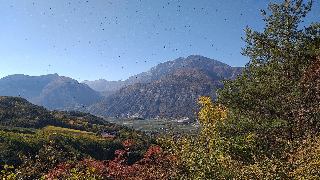 Photo of Others in Mattarello