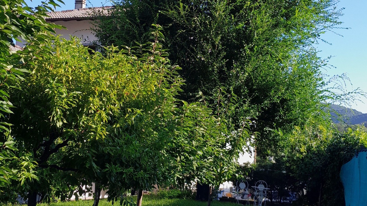 Photo of Outdoor in Mattarello