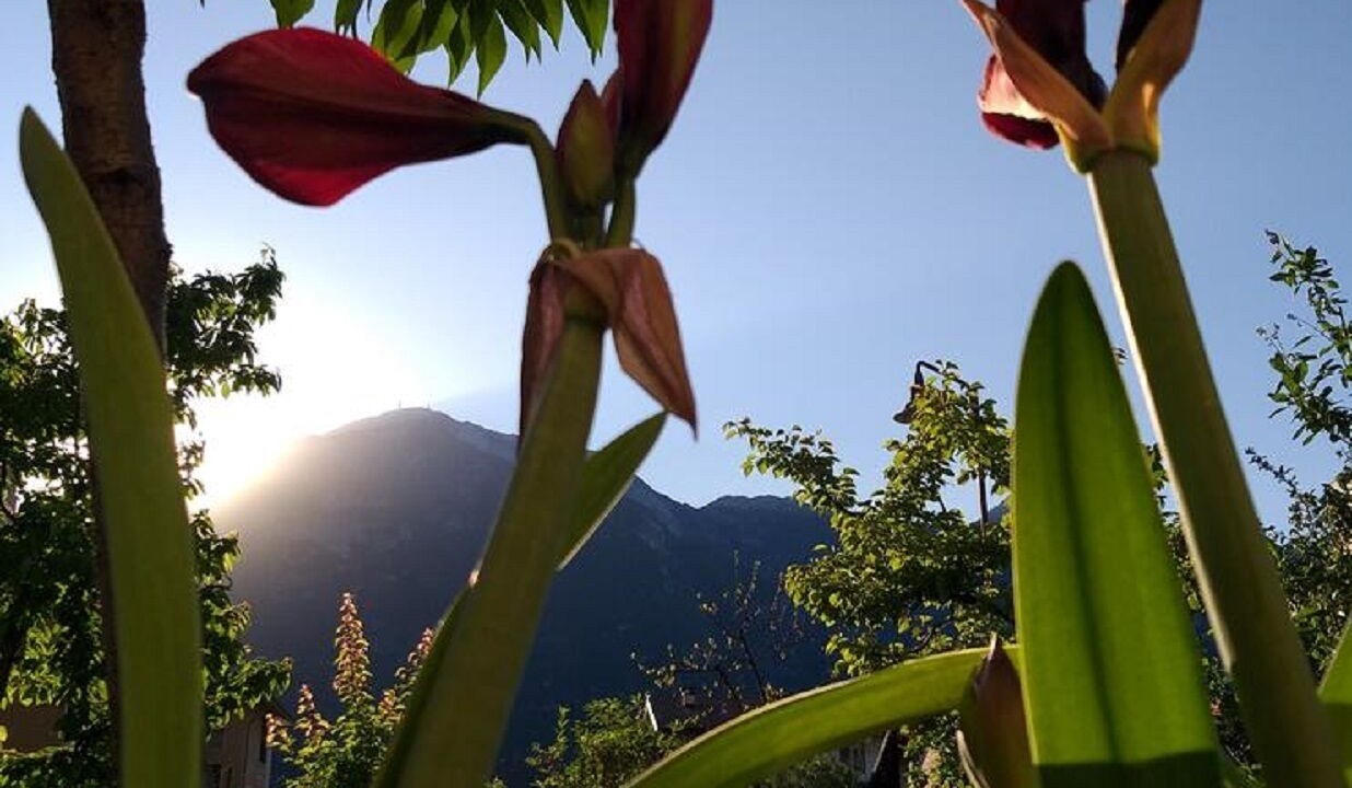 Photo of Outdoor in Mattarello