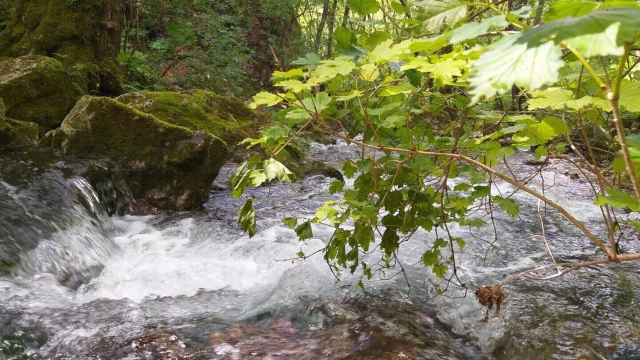 Photo of Outdoor in Mattarello