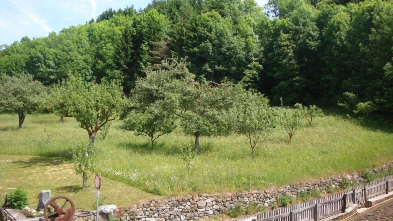 Photo of Others in Mocenigo