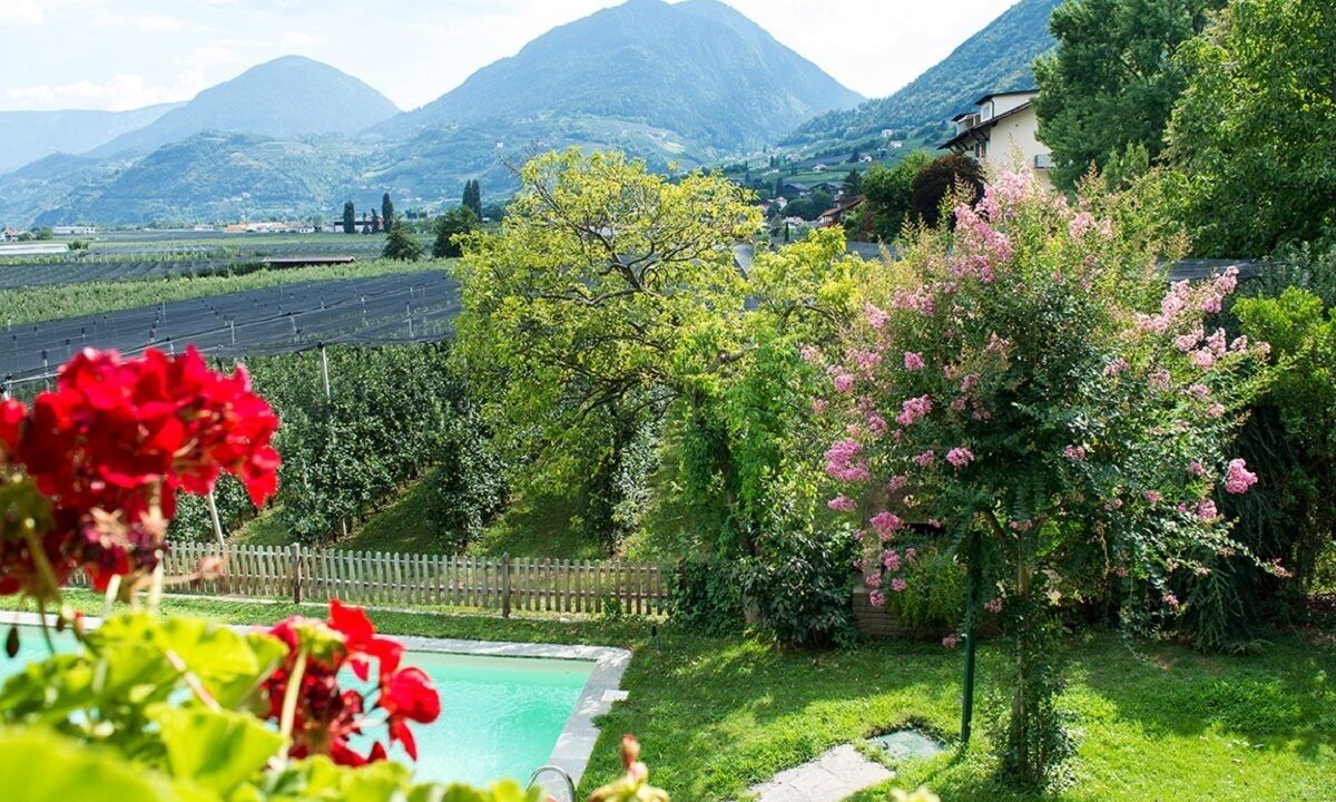 Photo of Outdoor in Cermes