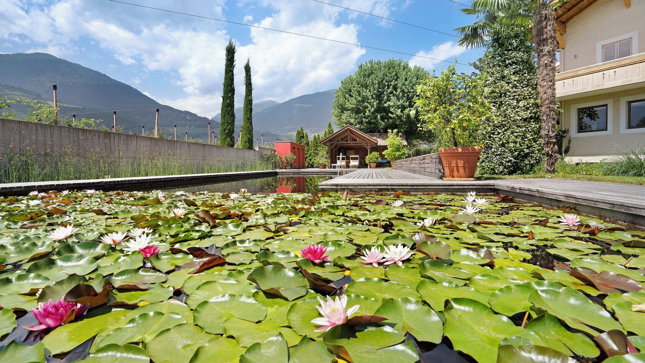 Photo of Outdoor in Lana