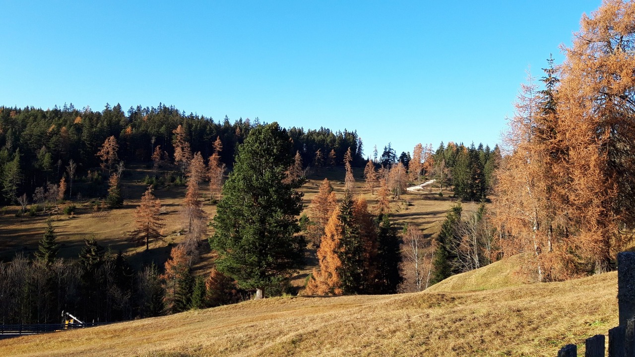 Photo of Others in Obereggen