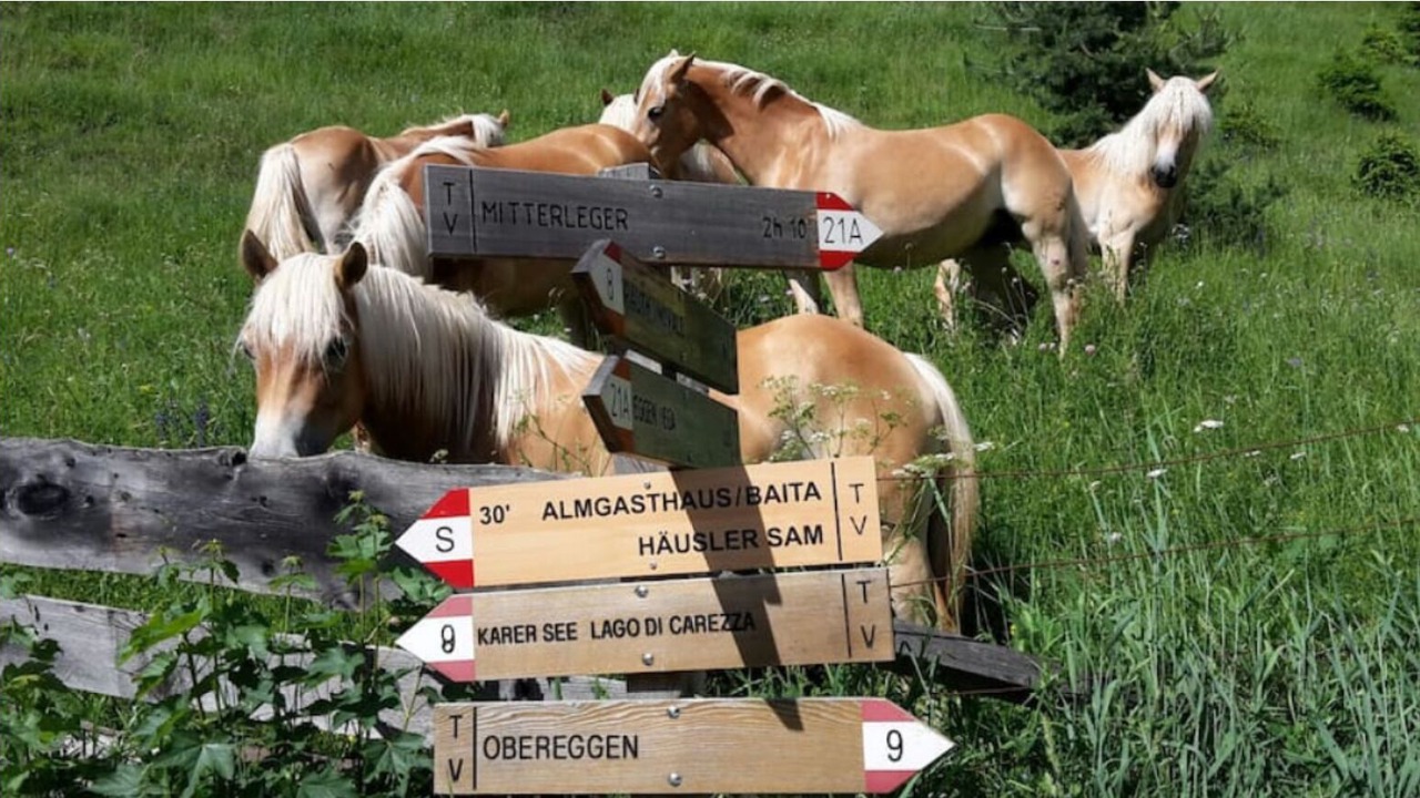 Photo of Outdoor in Obereggen