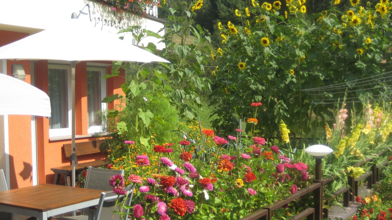 Photo of Outdoor in Nova Levante