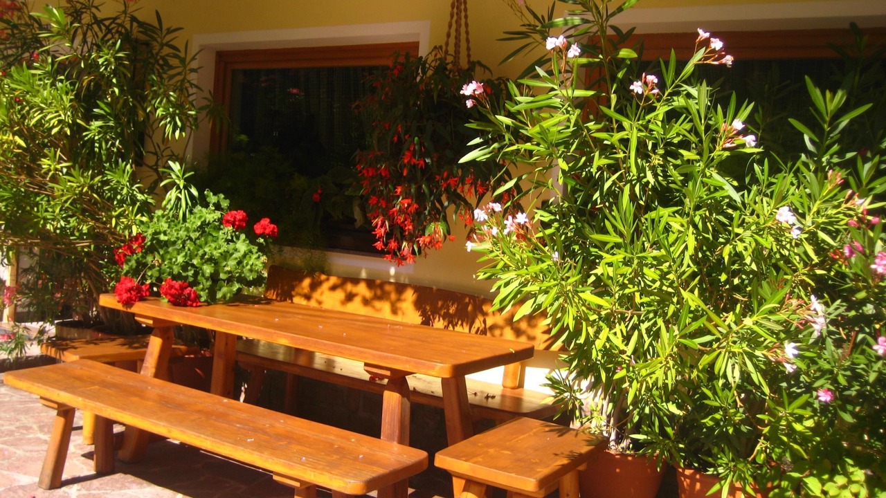 Photo of Outdoor in Nova Levante