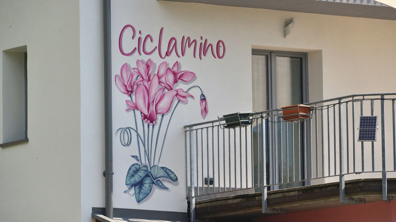 Photo of Outdoor in Dorsino