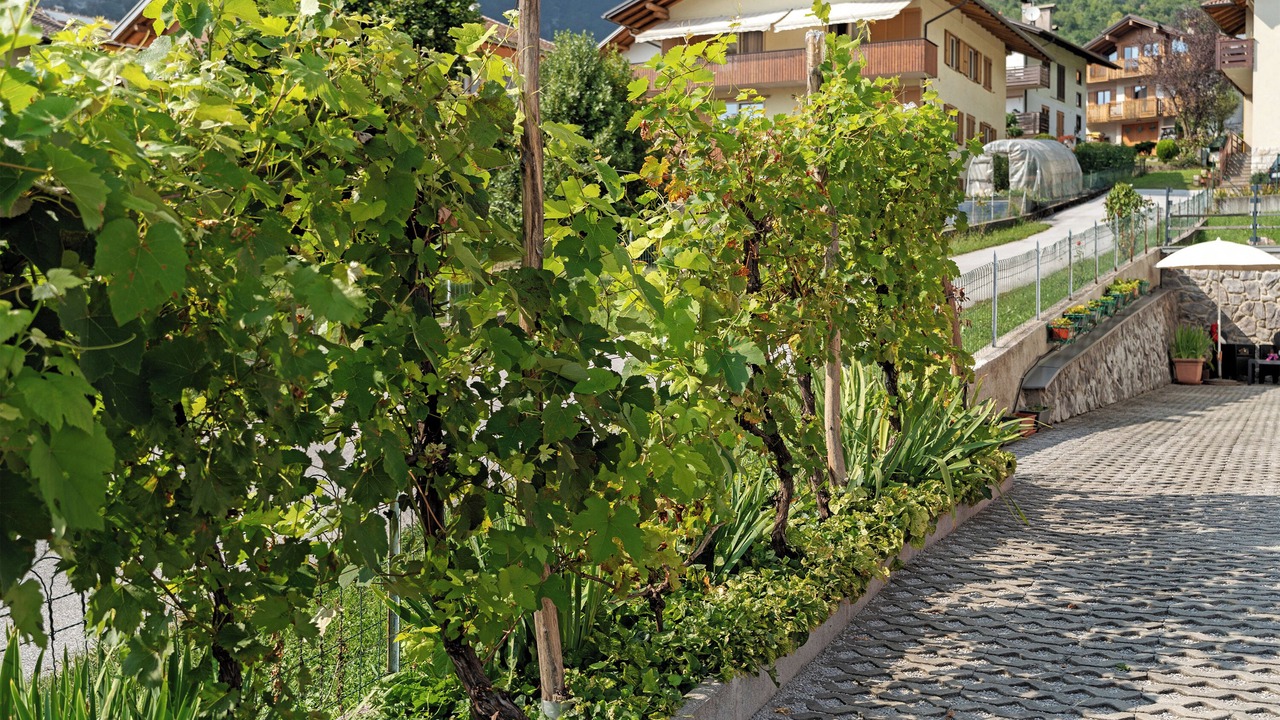 Photo of Outdoor in Dorsino