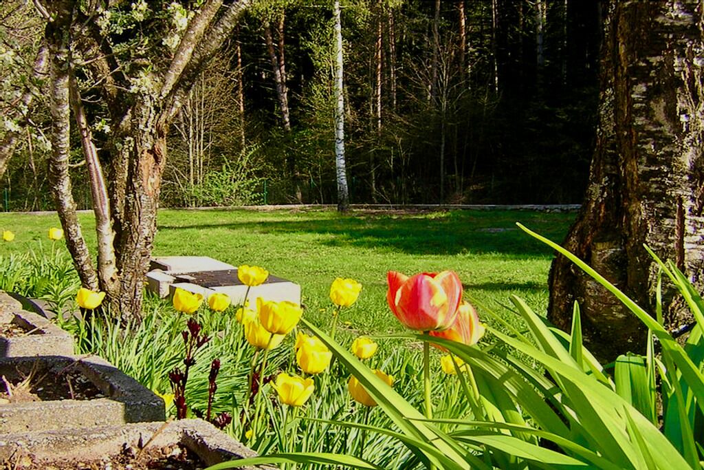 Photo of Outdoor in Baselga di Pine