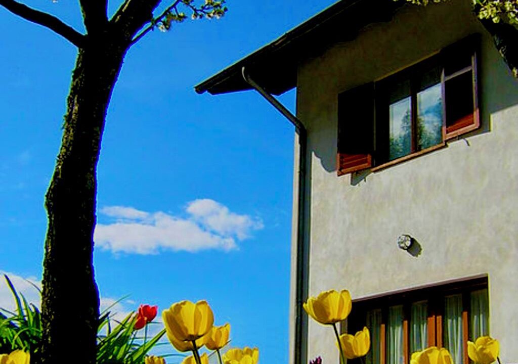 Photo of Outdoor in Baselga di Pine
