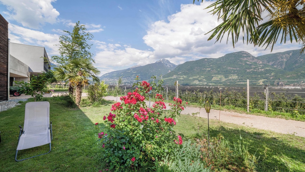 Photo of Outdoor in Cermes