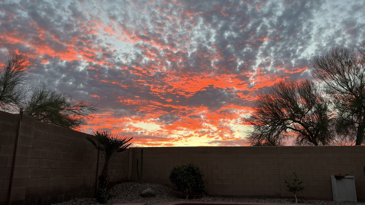 Photo of Others in San Tan Valley