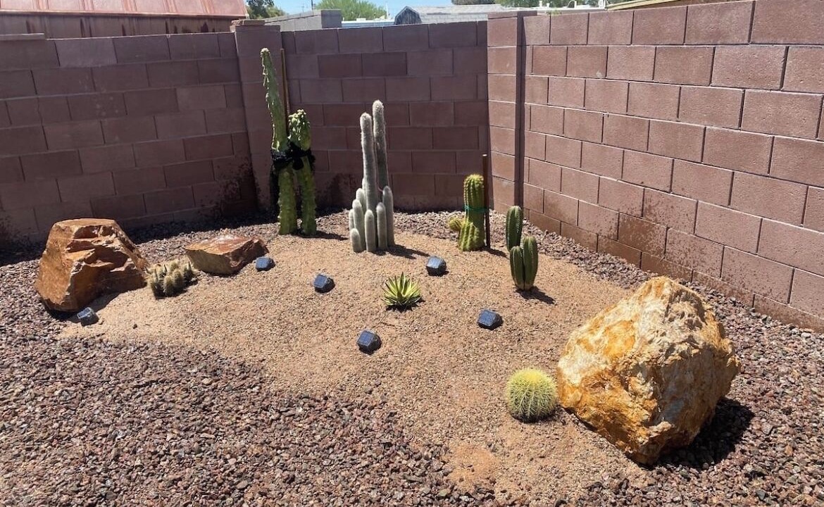 Photo of Outdoor in Tucson