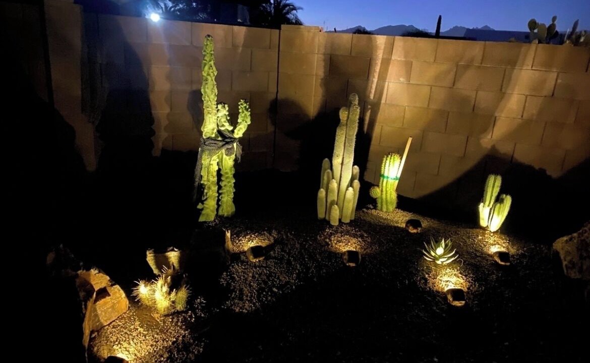 Photo of Outdoor in Tucson