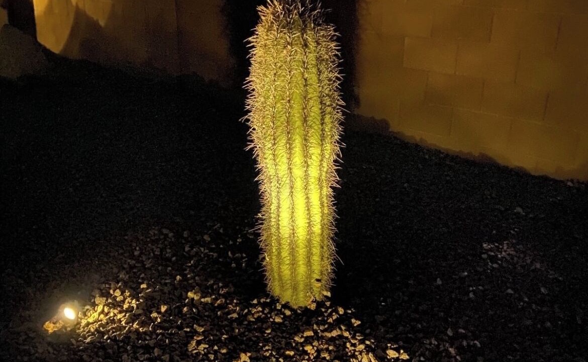 Photo of Outdoor in Tucson