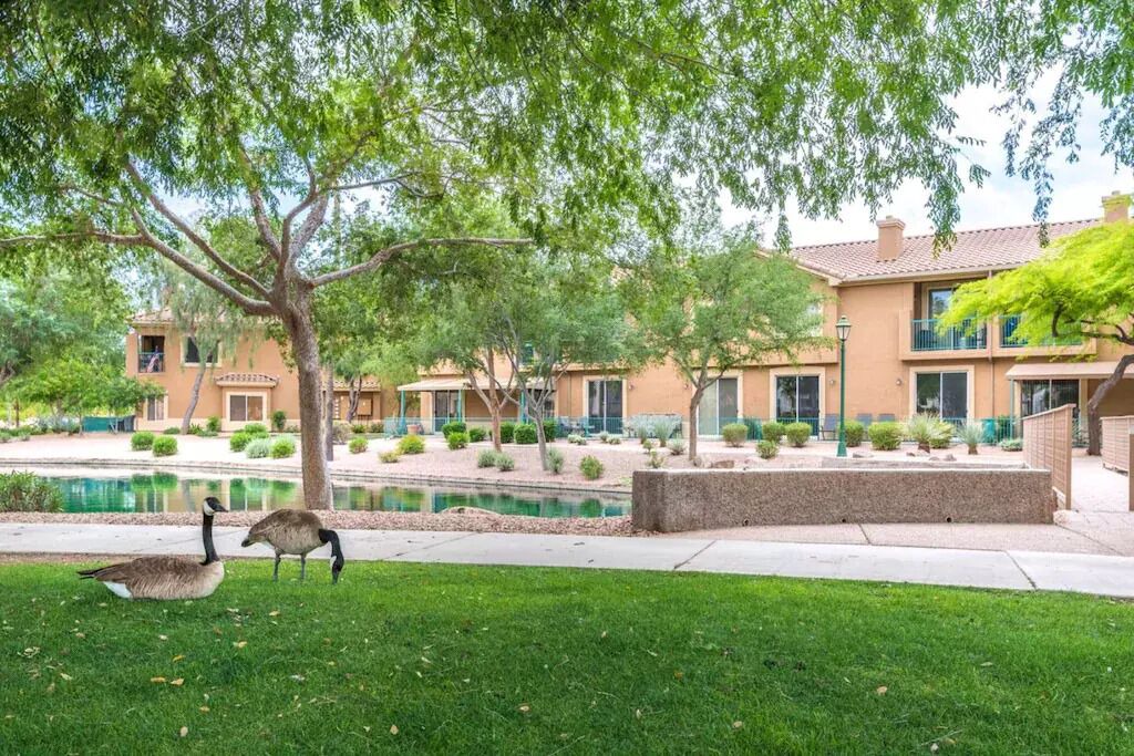 Photo of Outdoor in Superstition Lakes